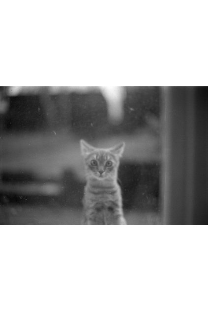 Othova Marketa Untitled03