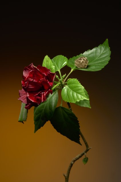 VK 87ddb0437c7914342887350e3faf2547 medium