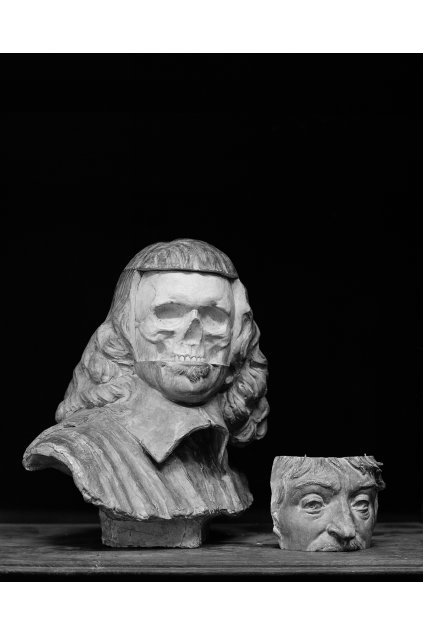 The skull of descartes Zelenkova