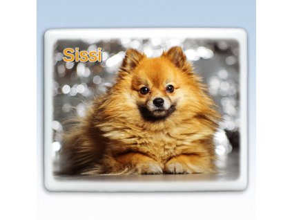 pomník pro zvířata