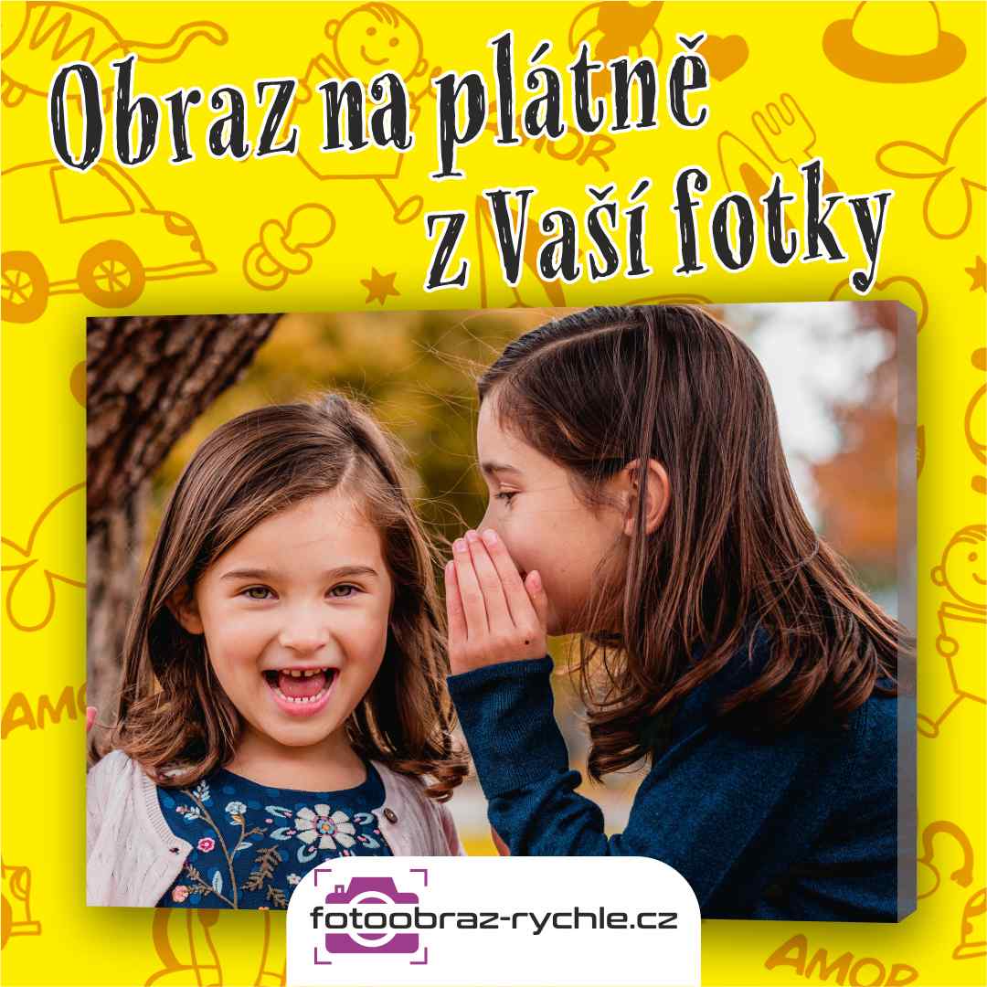Fotoobraz na plátně z vlastní fotky s odesláním do 2.dne