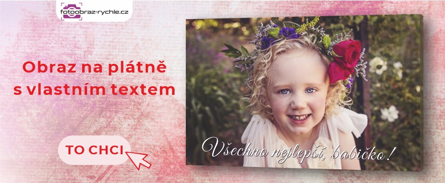 Fotoobraz na plátně z vlastní fotky s odesláním do 2.dne