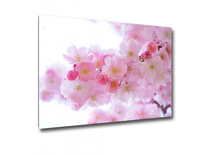 164 magneticka nastenka kvet japonske tresne motiv kvet japonske tresne