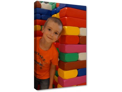 50 fotoobraz na platne z vlastni fotky 50x75 cm obraz tisteny na platne 50x75 cm