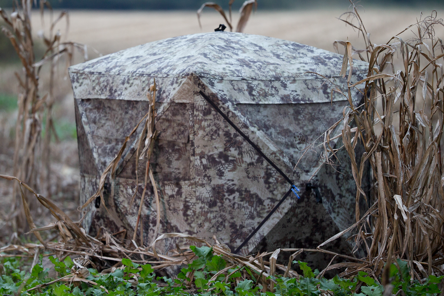 Stany AMERISTEP skladem
