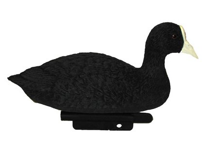 COOT STD24