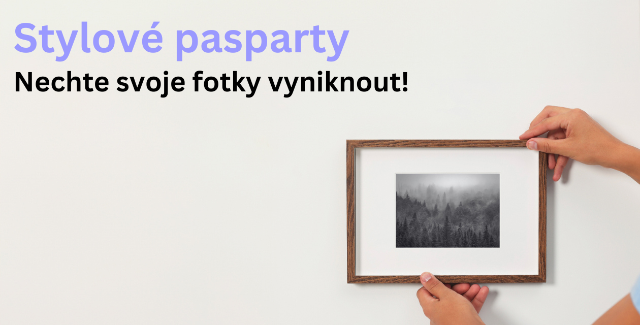 Průvodce výběrem pasparty