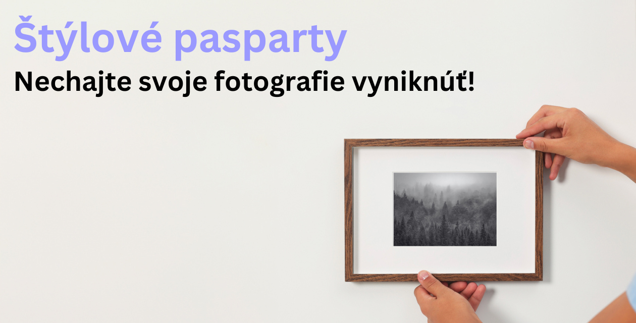 Sprievodca výberom pasparty