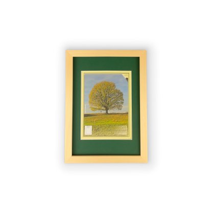 Pasparta Tmavě zelená (Rozměr 10 x 15 cm, Vnitřní výřez pasparty (Velikost obrázku) 7 x 10 cm)