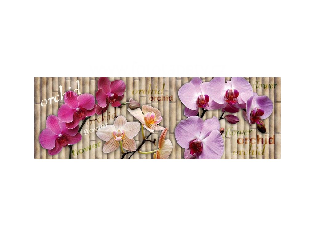 fototapeta orchidej