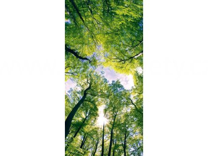 Samolepící fototapeta na podlahu - Klenby stromů, 85x170cm, 001