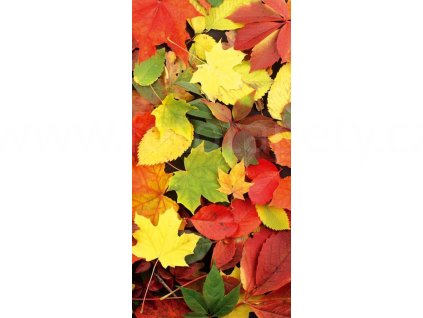 Samolepící fototapeta na podlahu - Podzimní listí, 85x170cm, 004