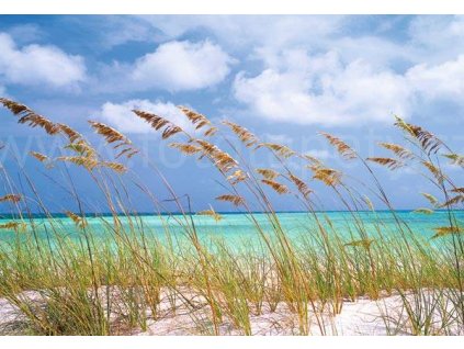 Ocean Breeze, National Geographic fototapeta, 8D 515, 368 x 254cm