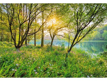 Jarní jezero, National geographic fototapeta, 368x254cm, 8D 8-524