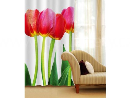 Foto závěs Záhon tulipánů, 140x245cm