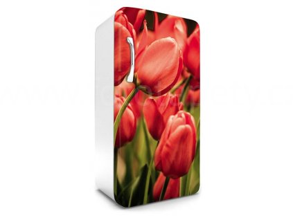 Samolepící fototapeta na lednici - Červené tulipány, 65x120cm, 012
