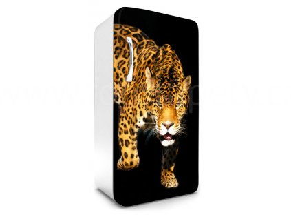 Samolepící fototapeta na lednici - Panther, 65x120cm, 017, doprodej