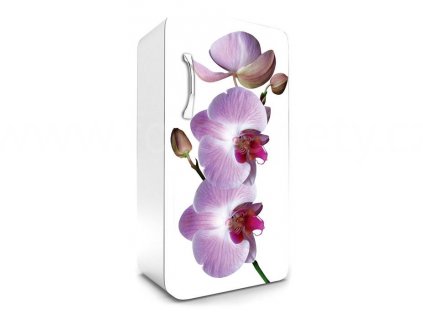 Samolepící fototapeta na lednici - Orchidej, 65x120cm, 024, skladem 1ks!!