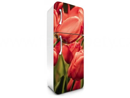 Samolepící fototapeta na lednici - Červené tulipány, 65x180cm, 012, doprodej
