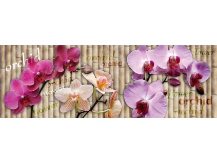 Samolepící fototapeta do kuchyně - Orchidej, 180x60cm, 026