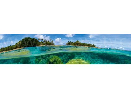 Samolepící fototapeta do kuchyně - Korálový útes, 260x60cm, 013