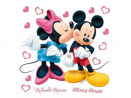 Samolepky na zeď Mickey Mouse & Minnie, 30x30 cm, DKs 1085, skl.
