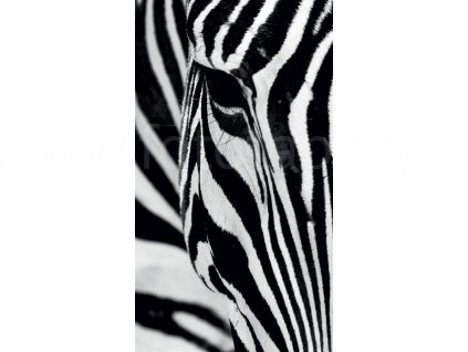 Foto závěs Zebra, 140x245cm, FCPL 6519