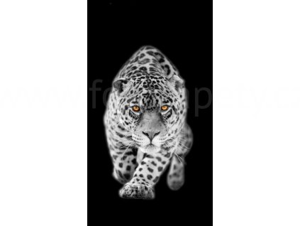 Foto závěs  Leopard, 140x245cm