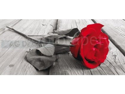 Panoramatická vliesová fototapeta Červená růže FTN h 2717, rozměr 202x90cm