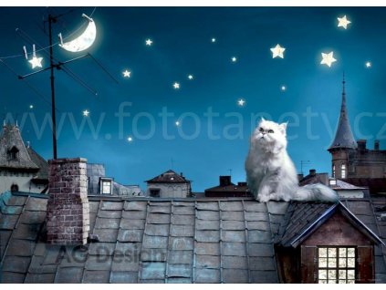 kočka na střeše tapeta