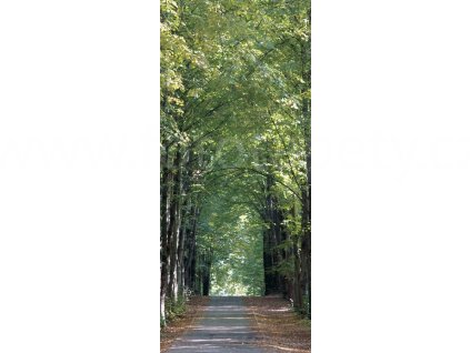 Jednodílná vliesová fototapeta Alej stromů FTN v 2807, rozměr 90x202cm