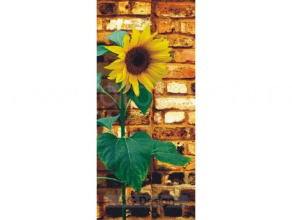 Jednodílná vliesová fototapeta Slunečnice FTN v 2841, rozměr 90x202cm