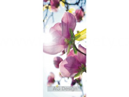 Jednodílná vliesová fototapeta Fialové květy FTN v 2873, rozměr 90x202cm