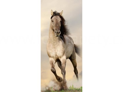 Jednodílná vliesová fototapeta Cválající kůň FTN V 2928, rozměr 90x202cm