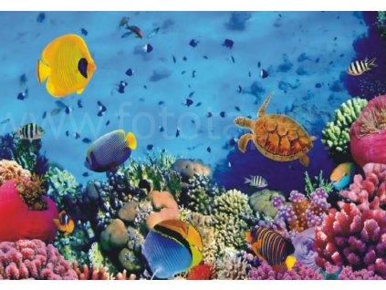 Čtyřdílná vliesová obrazová tapeta Podmořský svět FTN xxl 0375, rozměr 360 x 270cm