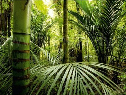 Čtyřdílná vliesová obrazová tapeta Zelená džungle FTN xxl 0465, rozměr 360 x 270cm