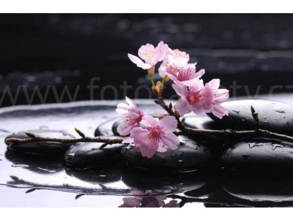 Čtyřdílná obrazová fototapeta Kameny s květy třešně FTS 0185, rozměr 360 x 254cm