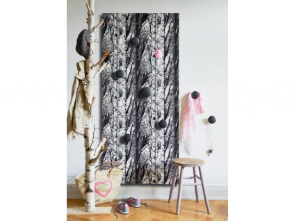 Samolepící tapeta d-c-fix Decor, vzor Wood - Břízy