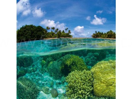 Třídílná vliesová fototapeta Korálový útes, rozměr 225x250cm, MS-3-0200