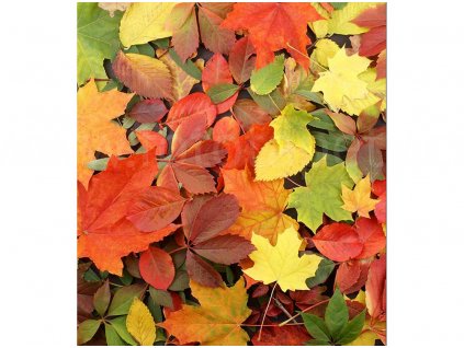 vliesová fototapeta Podzimní listí