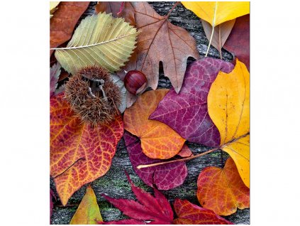 vliesová fototapeta Podzimní listí