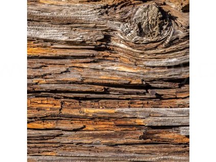 Třídílná vliesová fototapeta Kůra stromu, rozměr 225x250cm, MS-3-0159