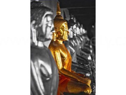 Plakát XXL - The golden Buddha, 175x115 cm, skladem poslední 1 ks