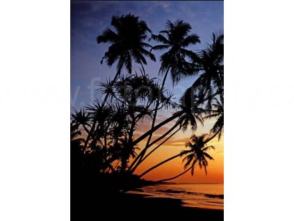 Čtyřdílná fototapeta Sunset beach, 183x254 cm, skladem poslední 2 ks!!!