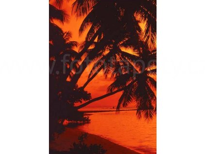 Čtyřdílná fototapeta Beach in sunset, 183x254 cm, skladem poslední 2ks