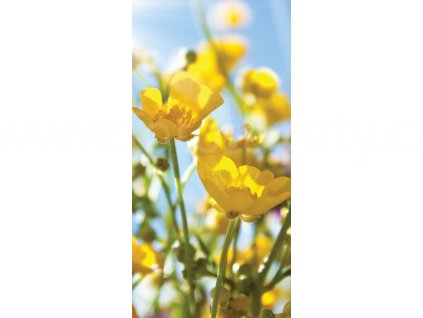Dvoudílná vliesová fototapeta Žluté květy, rozměr 150x250cm, MS-2-0134