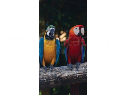 Dvoudílná vliesová fototapeta Pestrobarevní papoušci, rozměr 150x250cm, MS-2-0223