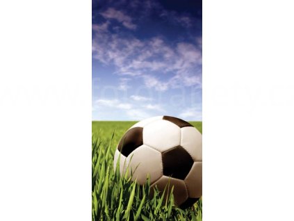 Dvoudílná vliesová fototapeta Fotbalový míč, rozměr 150x250cm, MS-2-0305