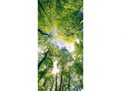 Dvoudílná vliesová fototapeta Klenby stromů, rozměr 150x250cm, MS-2-0104