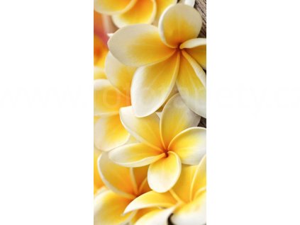 Dvoudílná vliesová fototapeta Plumeria, rozměr 150x250cm, MS-2-0140